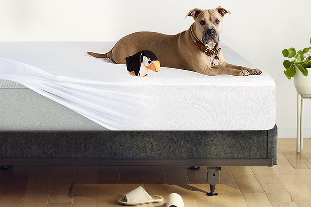 Breathable Mattress Protector 2023 - Image 5