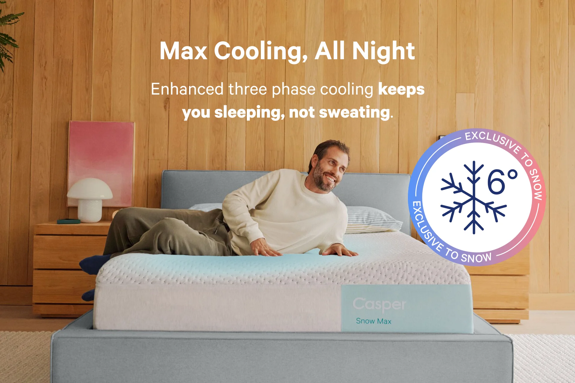 Snow Max - Image 3